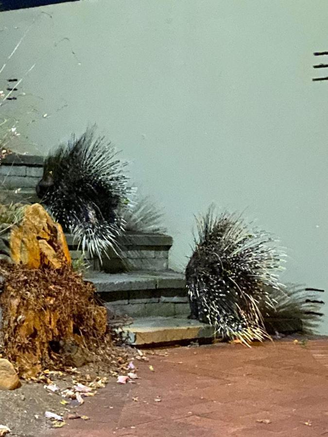 西蒙镇Porcupine Walk公寓 外观 照片