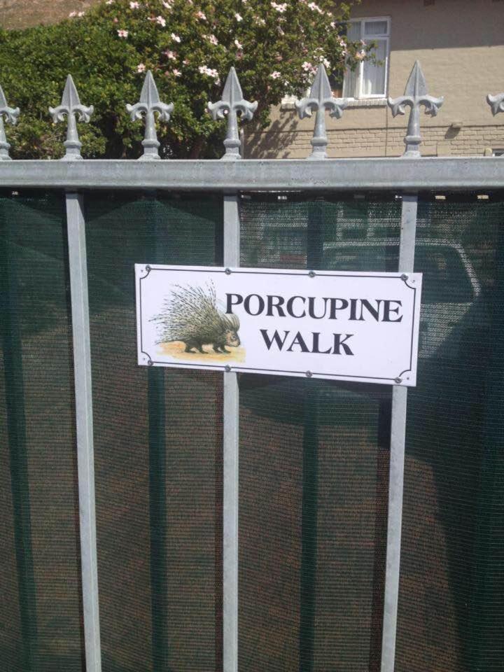 西蒙镇Porcupine Walk公寓 外观 照片